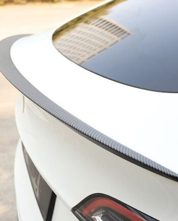 Spoiler   Abs  Tesla Model   Juniper