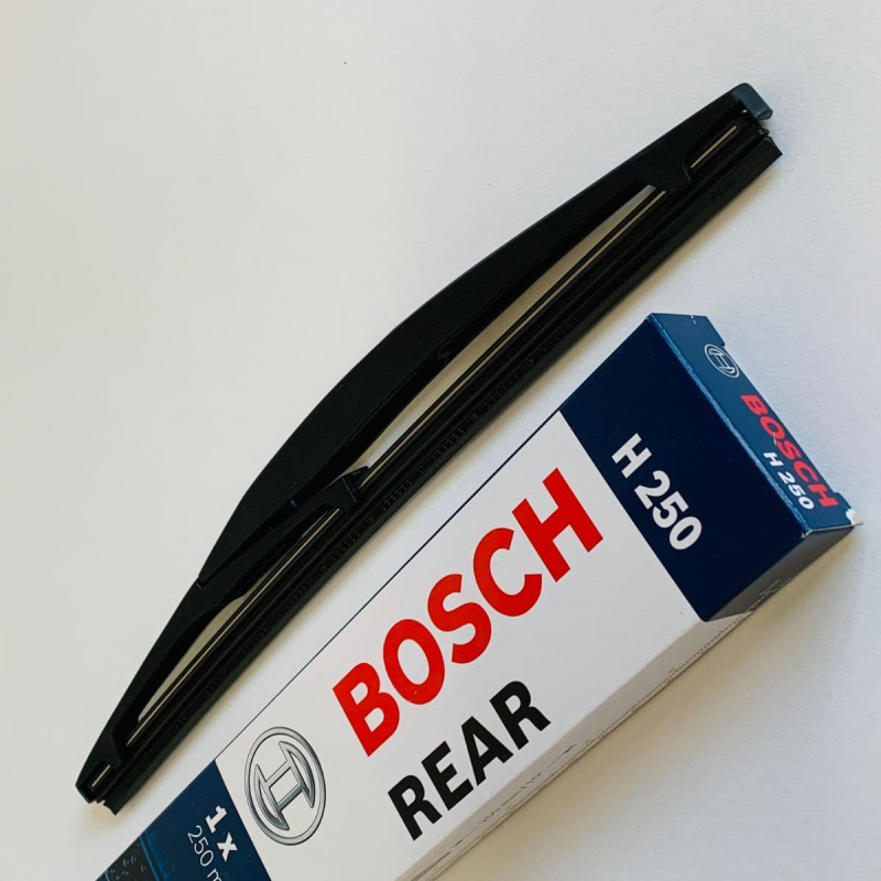 H250 Bosch Bagrudevisker  10 Inch   250mm Lang