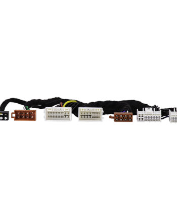 Phoenix Gold      -kabel  Zda   Zxm  Hyundai Kia 10-17