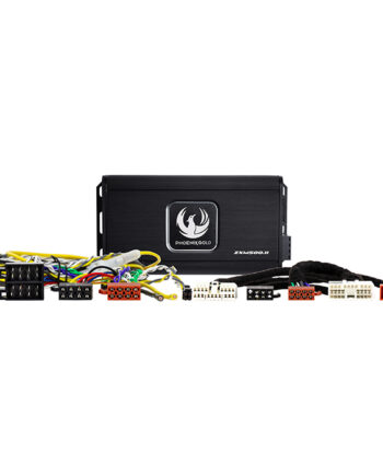 Phoenix Gold Subwoofer Forstærker Kit Daewo  Ssangy 05-