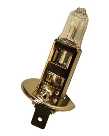 Pære H1 12v 55w   Stk