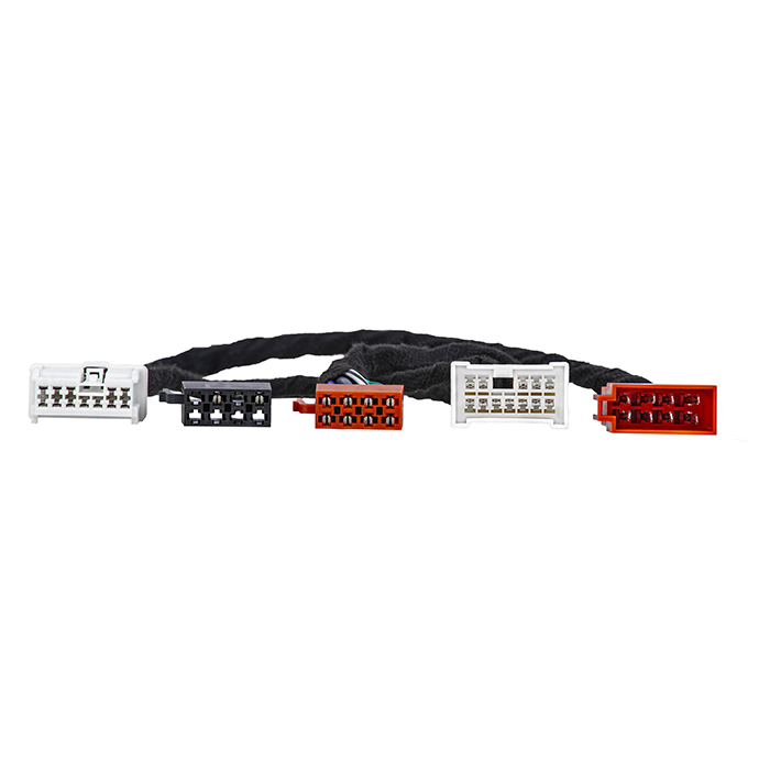 Phoenix Gold      -kabel  Zda   Zxm Dacia Renault 12-20
